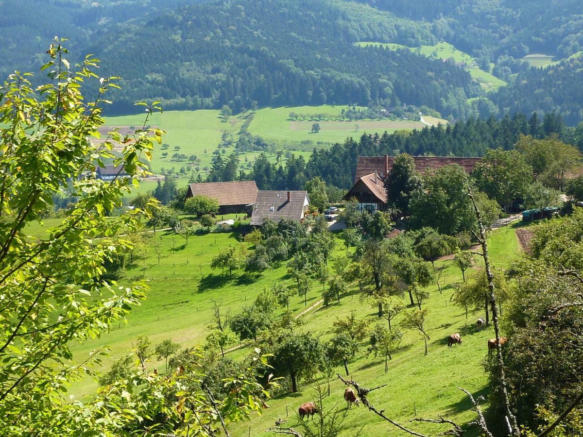 Вілла Ferienhaus Eck Целль-ам-Гармерсбах Екстер'єр фото