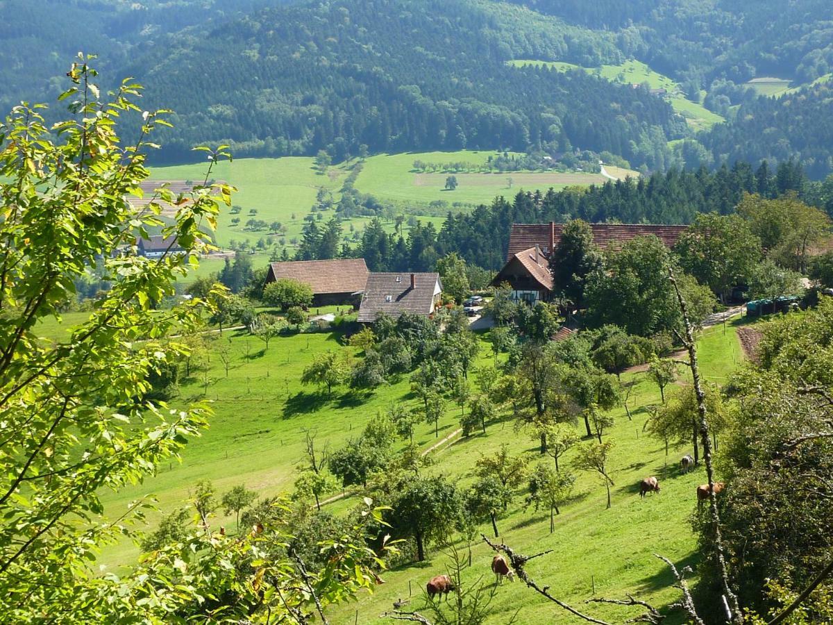 Ferienhaus Eck Целль-ам-Гармерсбах Екстер'єр фото