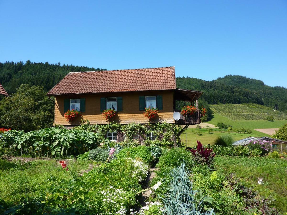 Ferienhaus Eck Целль-ам-Гармерсбах Екстер'єр фото
